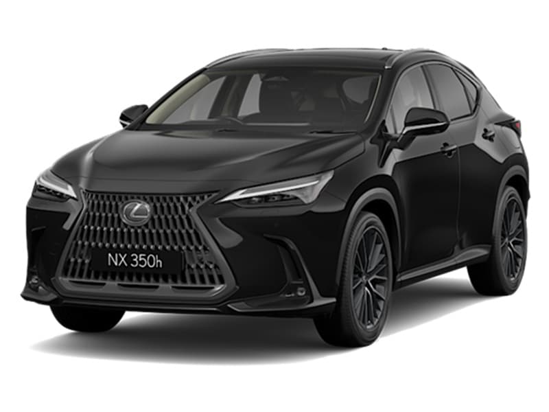 Graphite Black Glass Flake