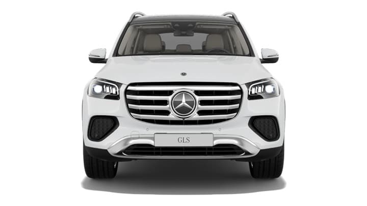 GLS Image 2