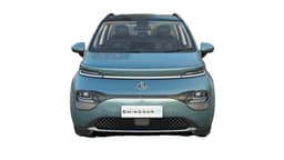 Windsor EV Image 2