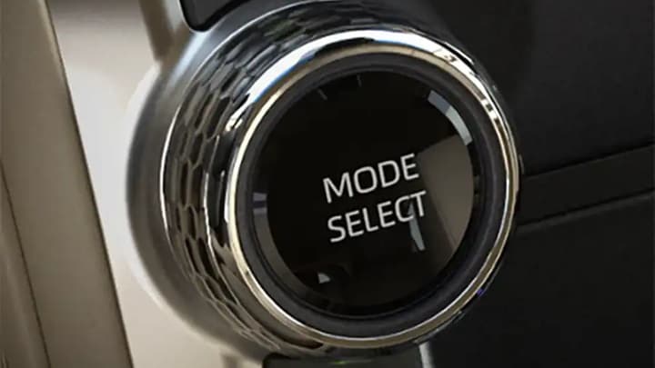 Land Cruiser Image 16