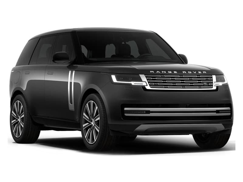 Carpathian Grey