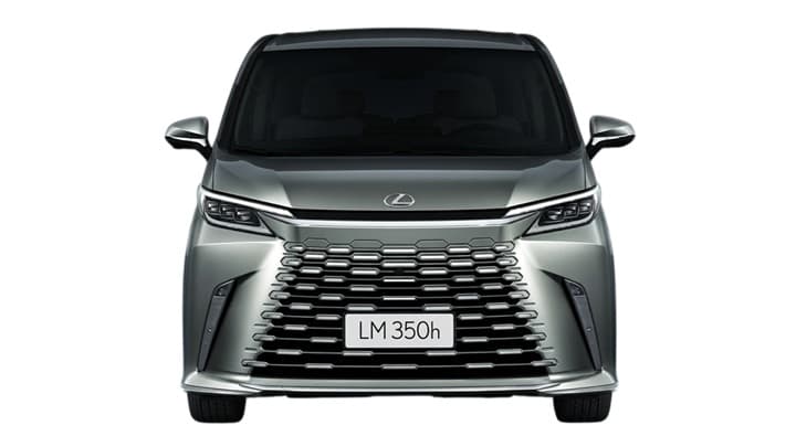 LM Image 2