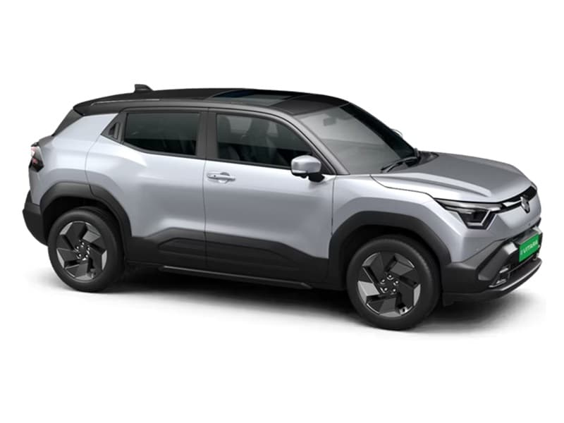Splendid Silver with Bluish Black Roof