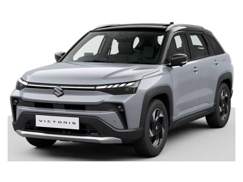 Splendid Silver with Bluish Black Roof