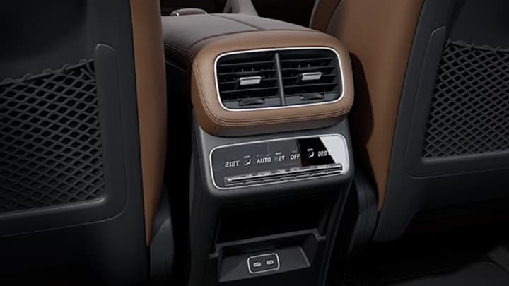 Maybach GLS Image 18