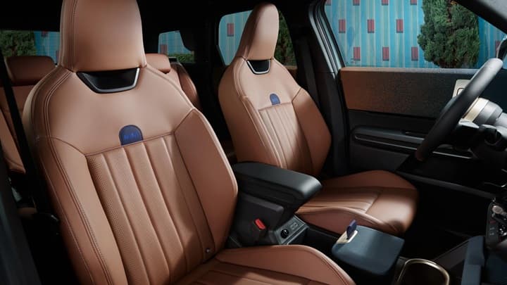 Countryman C Image 16