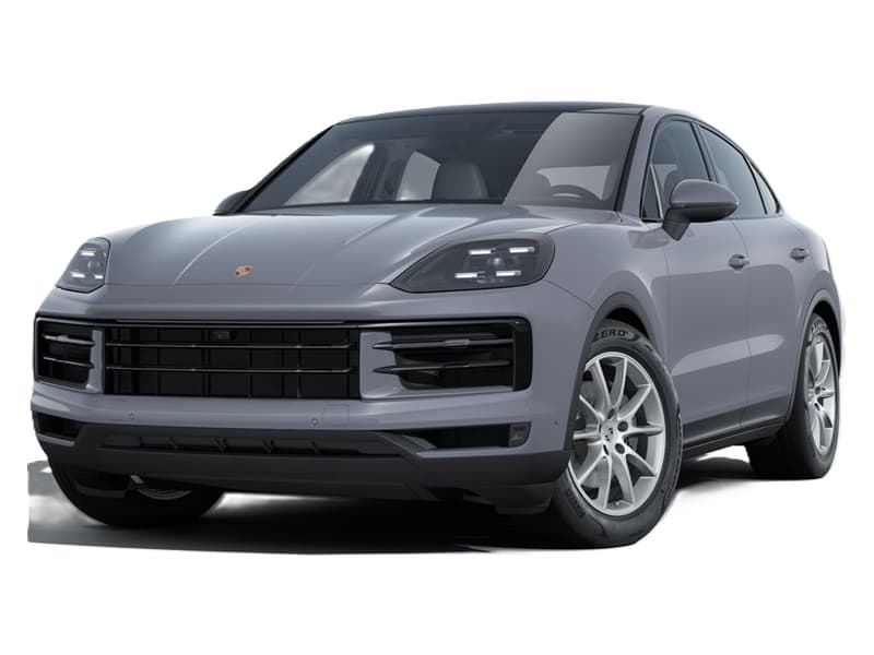 Arctic Grey
