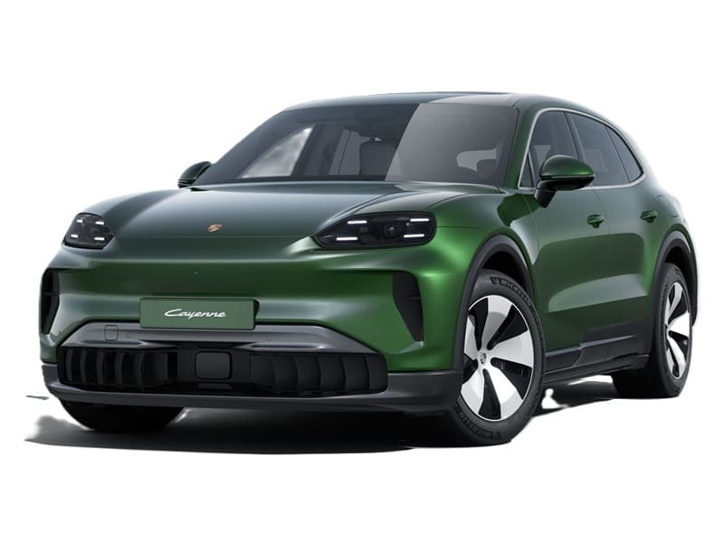 Oak Green Metallic Neo