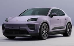 Macan