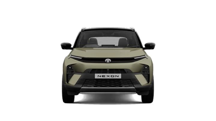 Nexon Image 2